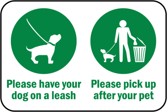 LEASH UP, OVERSTRAND! It’s the law & right thing to do