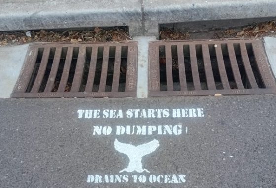 Storm Stencil raises awareness on Drain Blockages