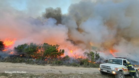 OVERSTRAND FIRE UPDATE: PEARLY BEACH & STANFORD FIRES (15 January 2026 @ 06:00 + 14:00)