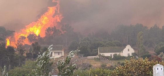 Essentially Emergency ‘GO Bags’