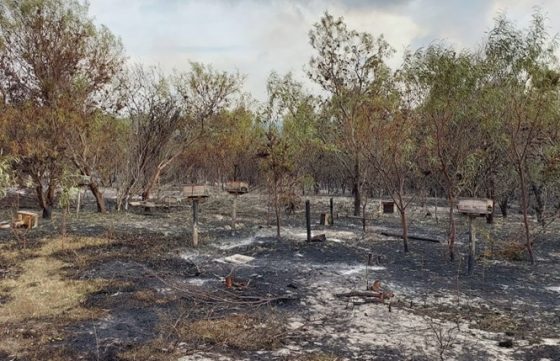 Farmers affected by fires urged to complete ‘damage survey’