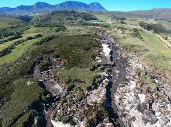 Read about the Onrus Catchment-to-Coast Restoration