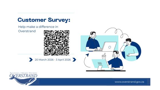 Feedback from the Customer Satisfaction Survey