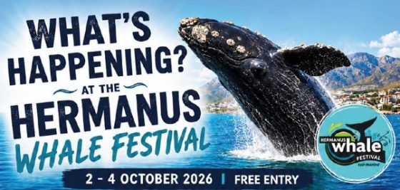 Celebrating the Giants of Walker Bay